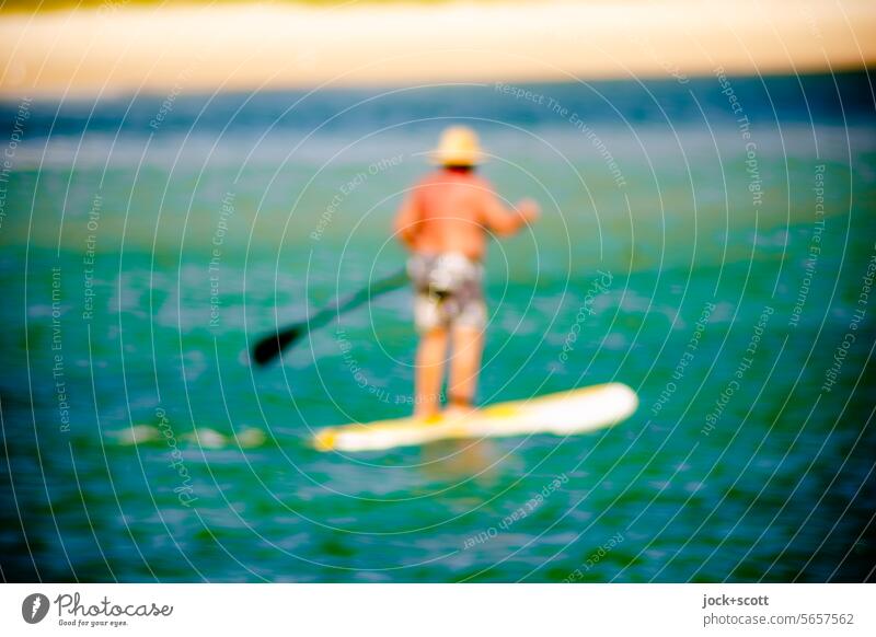 Stand-up paddling on calm waters paddle up SEA Paddling Summer Relaxation Paddle board Outdoors blurriness Swimwear activity Australia Queensland