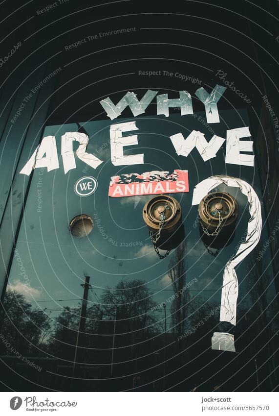 WHY ARE WE ANIMALS? Why are we? we animals Street art Characters English Question mark Creativity Reflection Capital letter Typography riser Technology feed