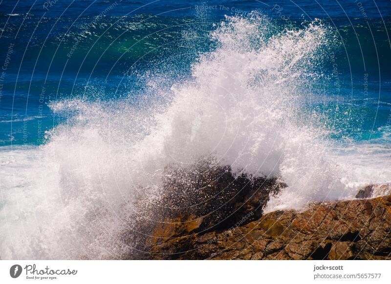 Stormy wave meets rock in the surf Waves Surf Rock Wild Elements Nature White crest Force of nature Ocean South Pacific Energy Strong Kinetic energy coast