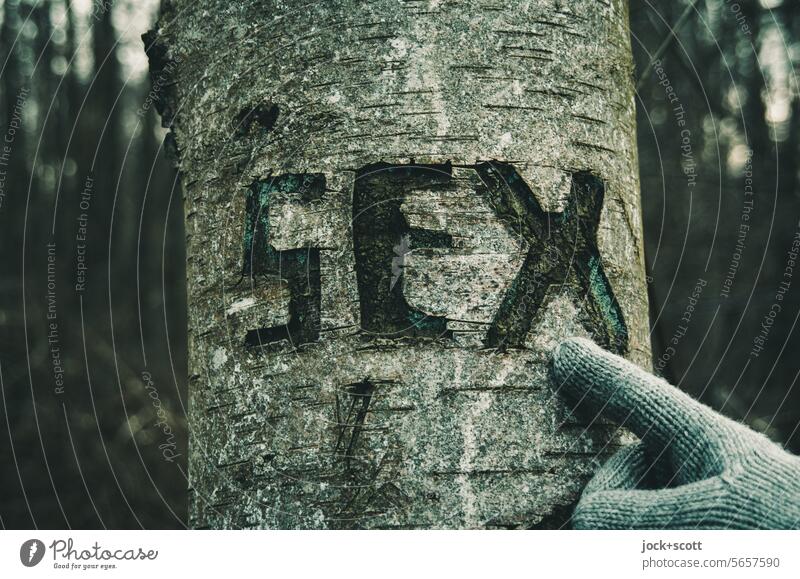 Index finger with protection finds sex in the forest Forefinger Gloves Word Sex Characters Typography Tree bark Birch tree Ravages of time Creativity