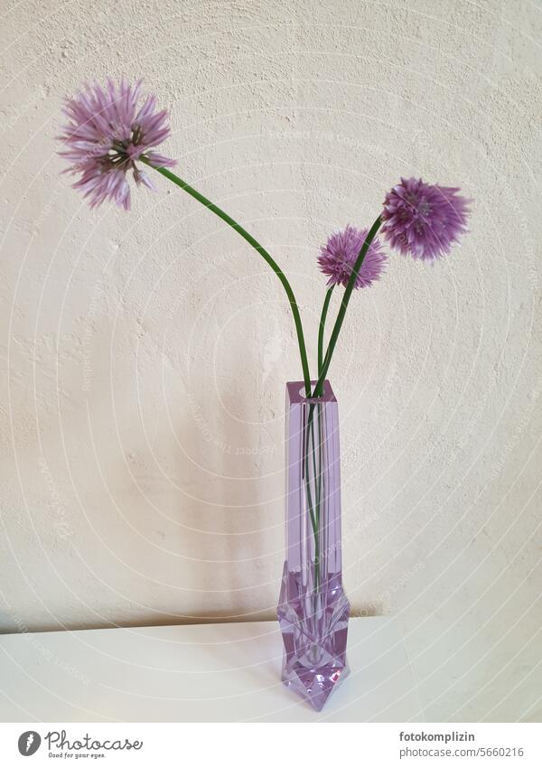 Chive blossom in crystal glass Blossom Vase Chives chive blossom purple Esthetic Noble Minimalistic Elegant unostentatious Fresh Violet Herbs and spices Plant