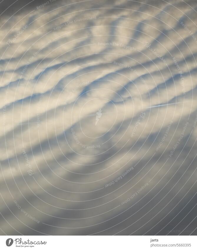 heavenly Sky Clouds Vapor trail White Soft Waves Structures and shapes Dynamics Wind Exterior shot Deserted Colour photo Nature Day Weather