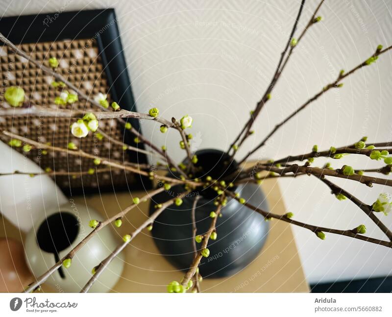 Spring on the shelf Shelves Vase decoration twigs blossoms furnishing Decoration Interior shot Blossom buds blurriness Bird's-eye view Black Wall (building)