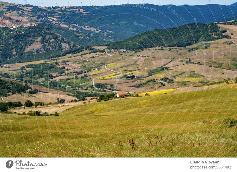 Country landscape near Potenza, Basilicata, Italy Albano Europe July Vaglio color day field green hill nature photography summer travel