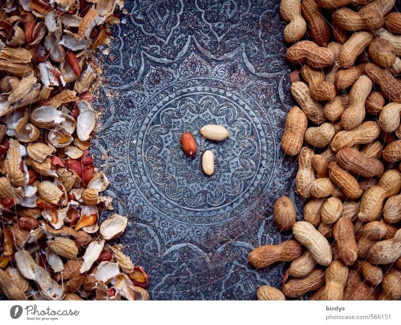 Love of order in the nutshell Nut Peanut Bowl Esthetic Exotic Delicious Positive Round Beautiful Orderliness To enjoy Center point Kernels & Pits & Stones
