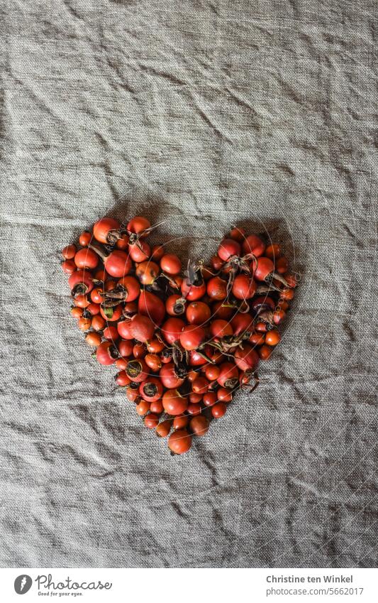 a heart made from red rosehips Heart Heart-shaped Heart (symbol) Love Declaration of love Romance With love Symbols and metaphors Infatuation Sincere