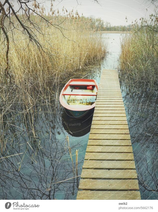 nature trail Jetty Footbridge Rowboat Idyll Lakeside Bushes Exterior shot Pond out Water Horizon Nature Environment Safety Evening Colour photo Far-off places