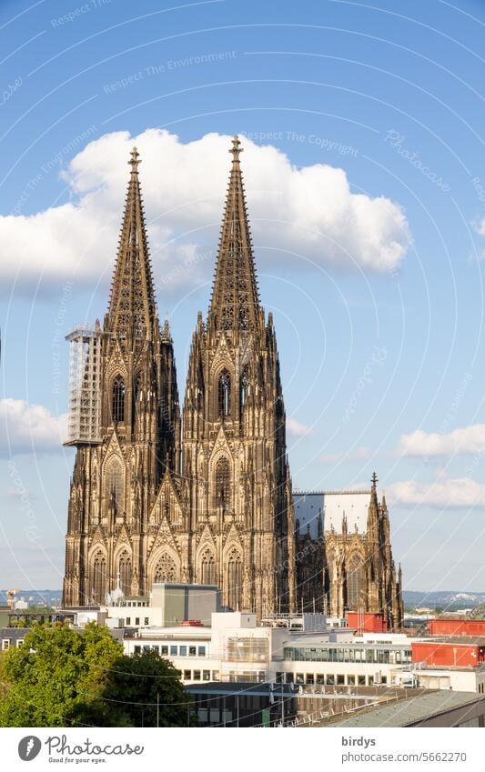 Cologne Cathedral in fine weather Landmark Beautiful weather Sky Tourist Attraction Church Religion and faith Architecture Tourism