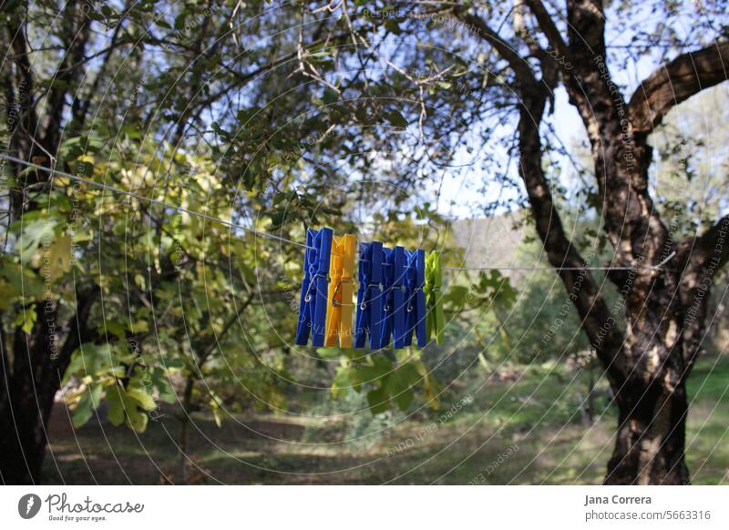 clothespins clothesline Blue Hang up Dry Holder Colour photo Green in the country out Washing day Photos of everyday life Rope Exterior shot Summer