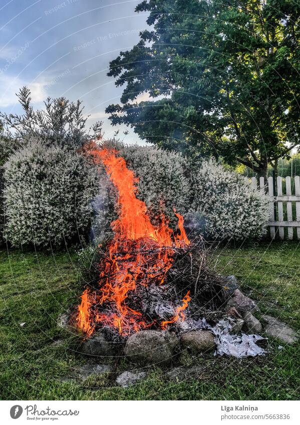 Fire Burn ardor Bright Dangerous blaze Flame Fireplace