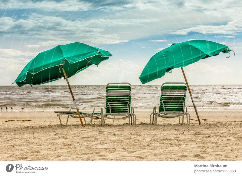 Beach chairs and sun umbrellas on a beach in Florida florida lounge chair travel sand sunny summer blue relaxation sky idyllic island vacation sea