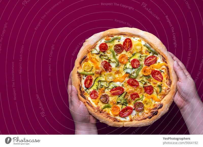Vegetarian homemade pizza in womans hands against a magenta background above baked bright chart cheese color colorful comfort crust cuisine delicious diet