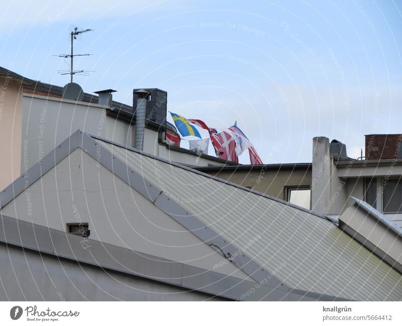 multicultural house roofs Flag Multicultural blow in the wind Sky Blow Judder flag Deserted Patriotism Nationalities and ethnicity Exterior shot Gable roof