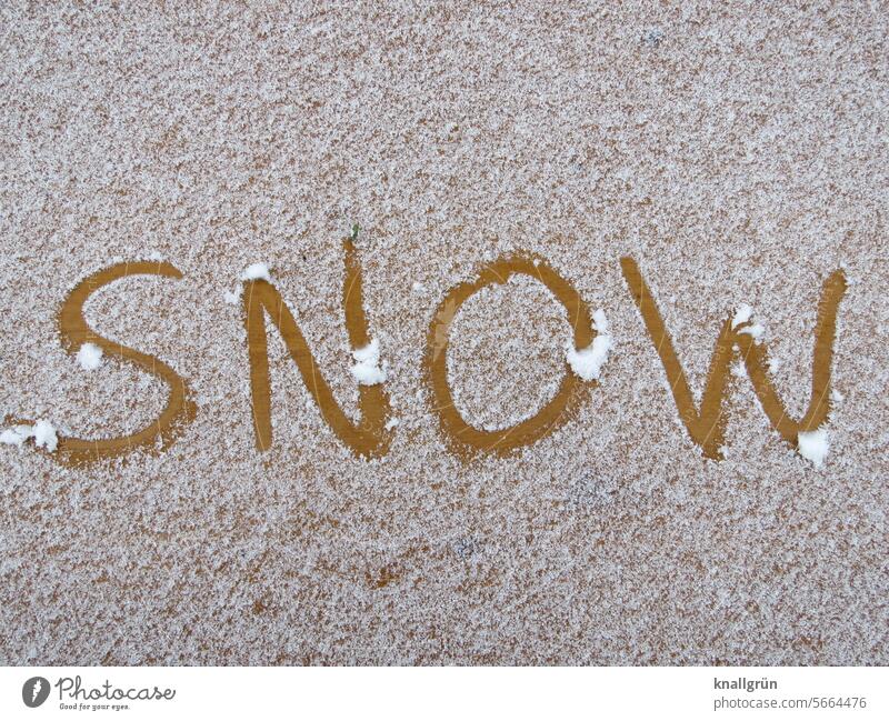 snow Snow Text Winter Cold White Exterior shot Tracks Deserted Winter mood Winter's day chill Snow track Snow layer snowy winter snow-covered Weather Pattern