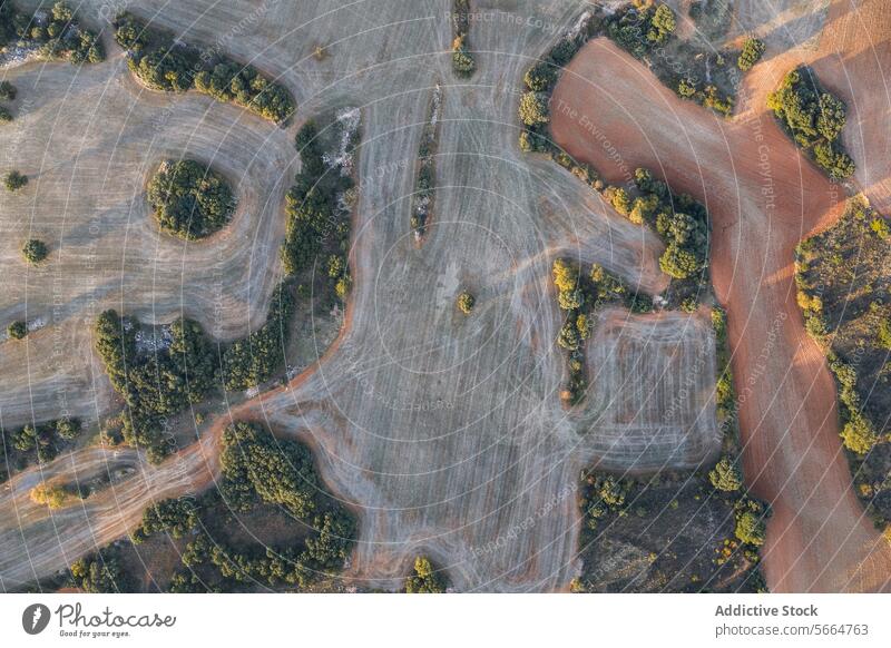 From above aerial view of a patchwork of agricultural fields with varying colors and textures, interwoven with dirt tracks and small clusters of trees, presenting a natural yet organized landscape