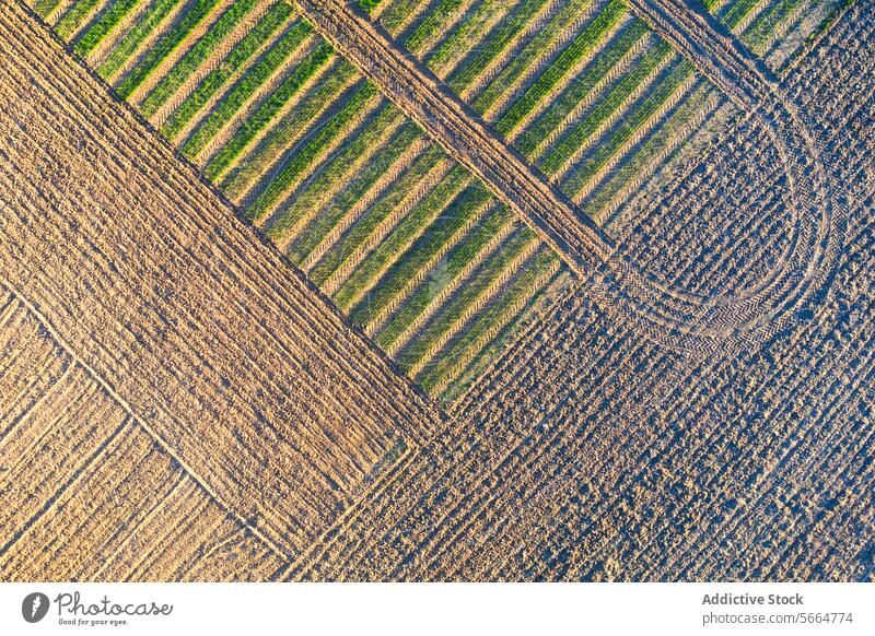 Top view of agricultural fields showing the intersection of different planting techniques, creating a mosaic of green and brown stripes top aerial pattern earth