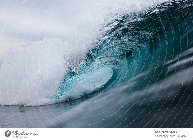 Powerful Ocean Wave Cresting with Spray ocean wave cresting spray water froth close-up dynamic powerful sea nature aquatic swell curl force energy marine blue