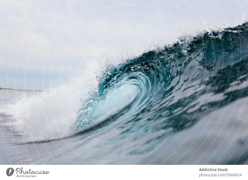 Majestic Ocean Wave Curling in Crystal Clear Water ocean wave curling water sea blue clear power nature aquatic surf texture marine turquoise foam swell coast