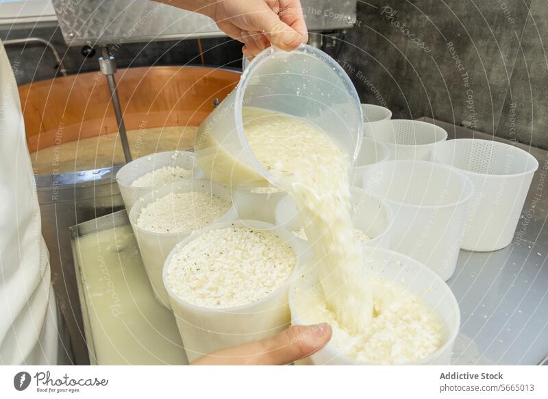 Anonymous cheese maker expertly ladles curds into molds for shaping and setting the final cheese products Cheese dairy production artisan process craft curdling