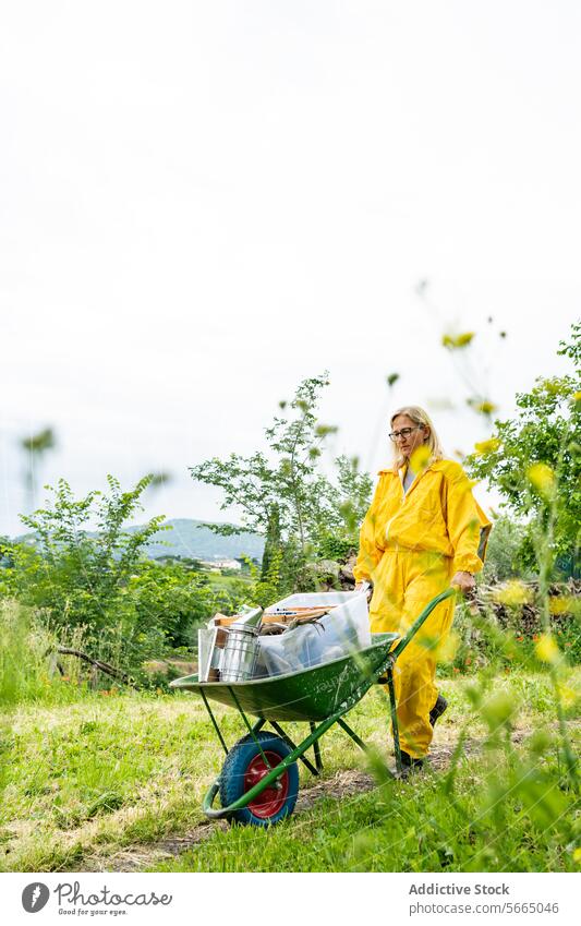 Adult lady in eyeglasses and in protective beekeeping yellow suit with wheelbarrow working in green apiary woman beekeeper meadow overall field senior beehive