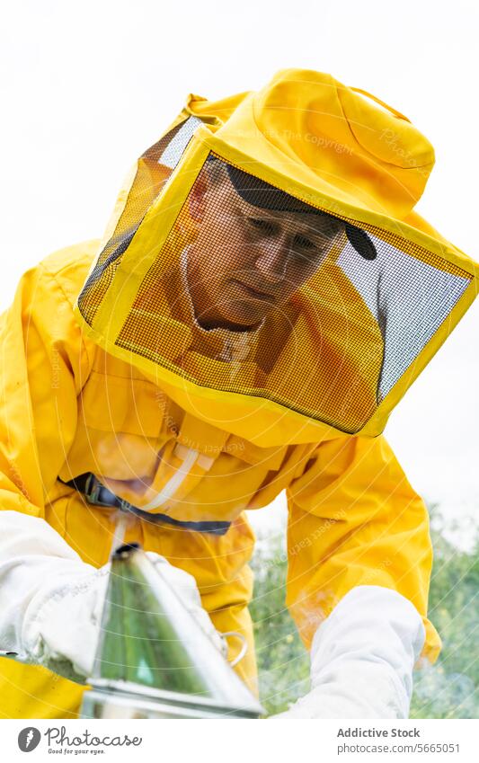 Focused Beekeeper in apiary during work woman beekeeper beehive protect suit concentrate focus yellow senior professional occupation busy business equipment
