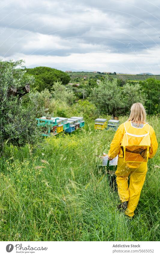 Back view of unrecognizable woman in eyeglasses and in protective beekeeping yellow suit with wheelbarrow working in green apiary beekeeper meadow overall field
