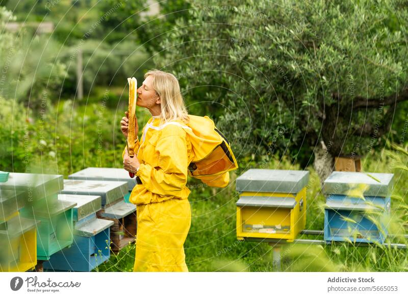 Beekeeper smelling honeycomb in apiary woman beekeeper beehive frame overall work protect stand job professional check adult countryside farm female occupation