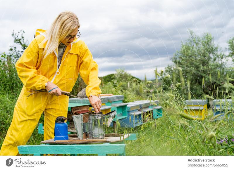 Woman beekeeper working in apiary woman bee smoker overall concentrate eyeglasses grass lady beehive professional focus tool countryside rural occupation nature