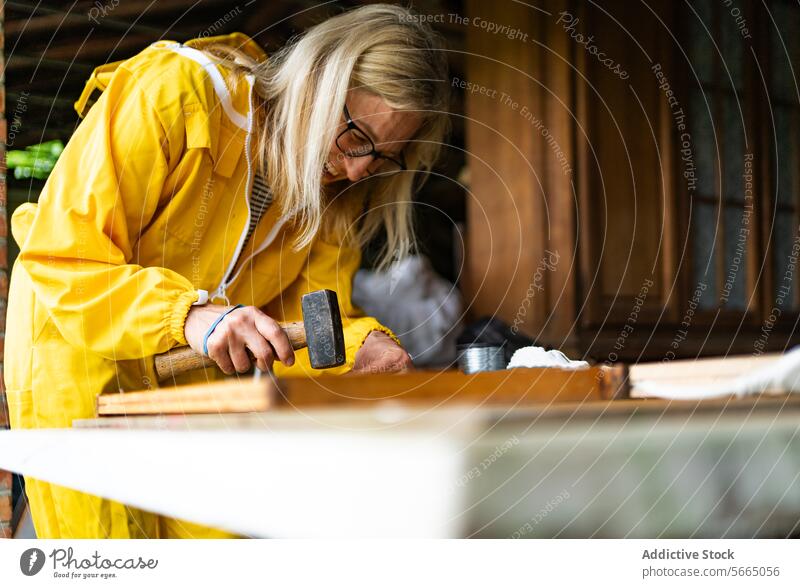 Senior woman working on table in workshop hammer apiary fix beehive frame senior concentrate workspace overall wooden lady plank equipment nature female