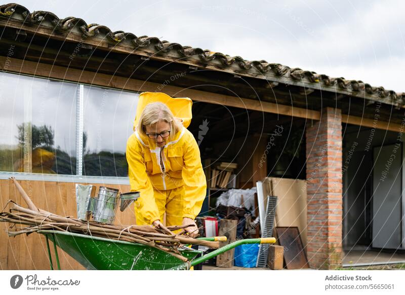 Concentrated mature woman working at apiary concentrate overall wheelbarrow lady focus glasses nature aged village senior tool gray hair countryside female
