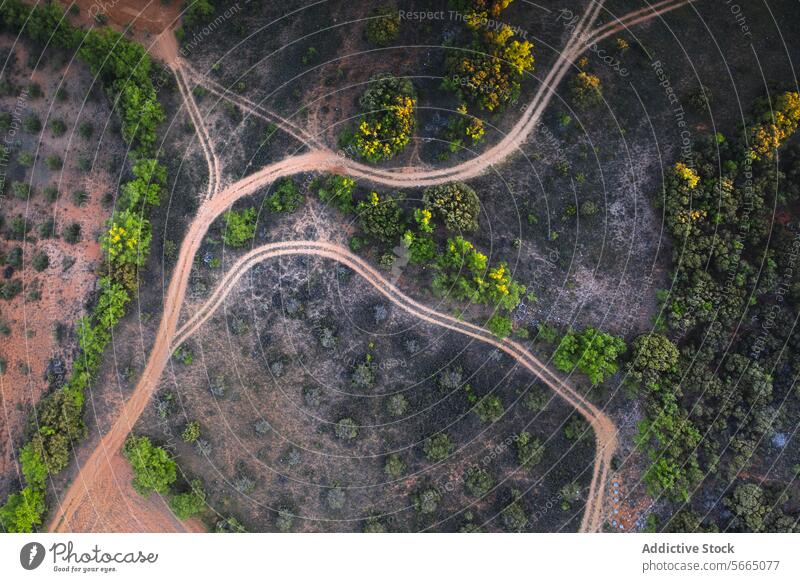 Aerial perspective of dirt roads intersecting through the colorful autumn landscape in the Alcarria region intersection Guadalajara bird's eye view nature