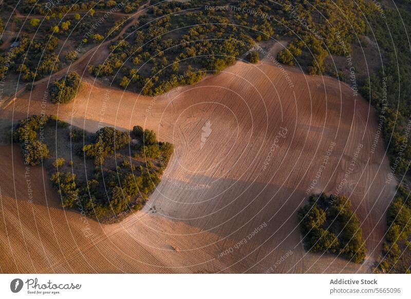 Aerial view of the soft evening light casting shadows on the plowed fields and trees in Alcarria Guadalajara landscape bird's eye nature outdoor rural Spain