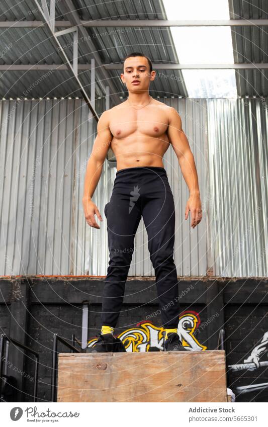 Muscular athlete standing on wooden box during calisthenics training sportsman shirtless muscular bodybuilding workout serious gym fitness sun male strong
