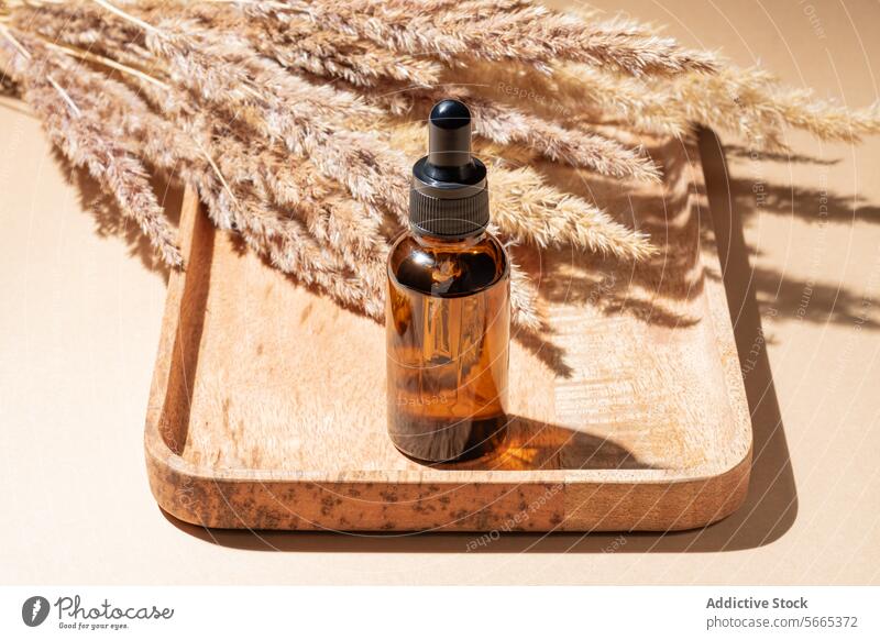 From above amber glass bottle with dropper on wooden tray against a beige background with pampas grass Bottle cosmetic packaging natural skincare essential oil
