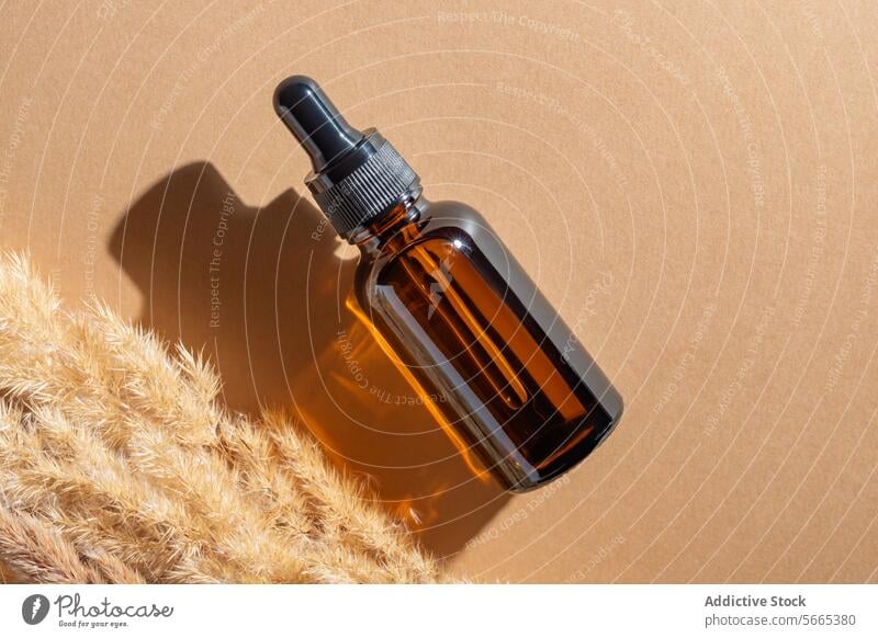 From above amber glass dropper bottle with a shadow on a beige background next to pampas grass Bottle cosmetic packaging skincare aroma therapy essential oil