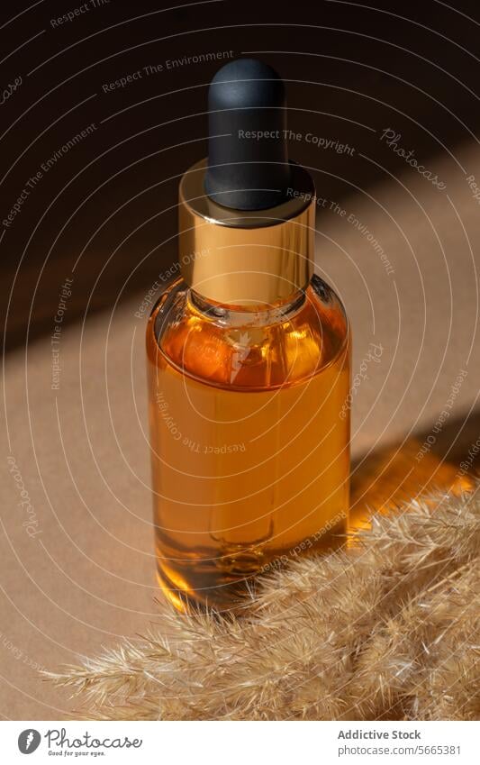 Luxurious amber glass dropper bottle with golden cap, standing next to soft pampas grass on a warm backdrop Bottle luxurious cosmetic skincare beauty product
