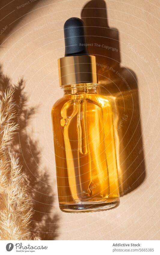 From above luxurious amber glass dropper bottle with golden cap, standing next to soft pampas grass on a warm backdrop Bottle cosmetic skincare beauty product