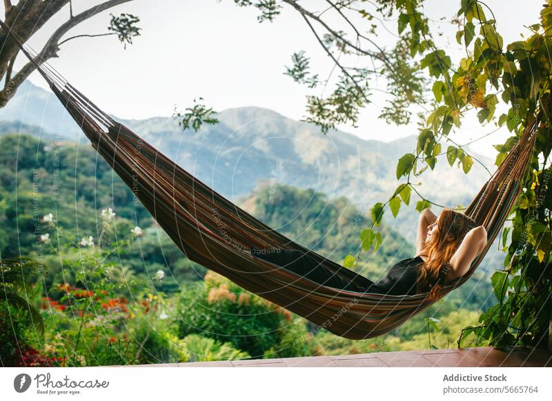 Relaxing in a Hammock with a Scenic Mountain View in Minca, Colombia relaxation hammock scenic mountain view greenery nature peaceful serene tranquility leisure