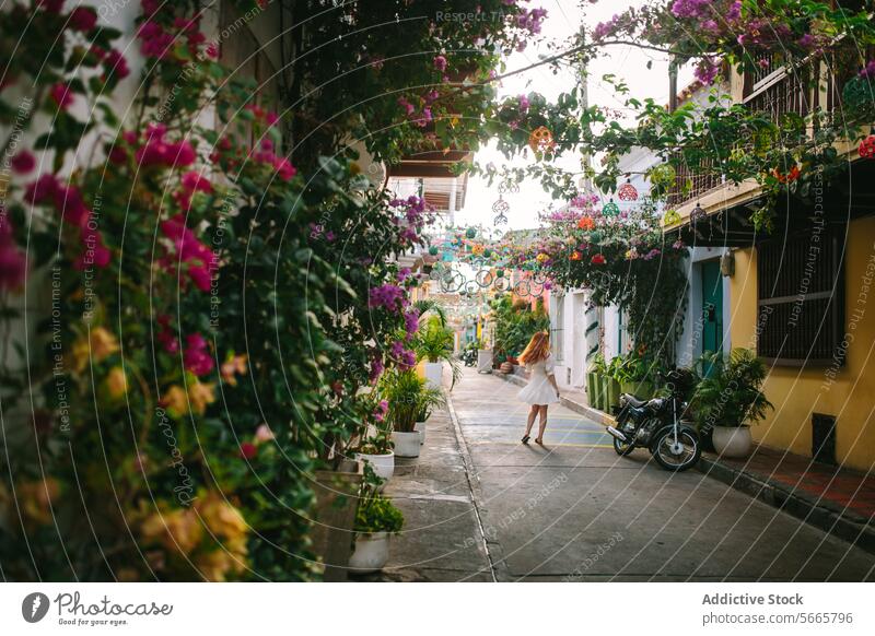Colorful street with flowers and a strolling woman in Cartagena, Colombia alley vibrant picturesque flowering plant hanging decoration walking beauty colorful
