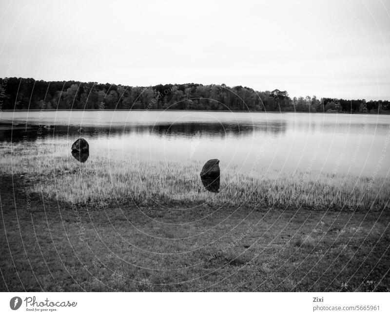 Rocks in the lake Lake Black & white Nature Landscape water Exterior shot