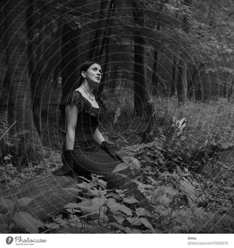 Frau im Wald sitzen Baumstamm Kleid Blick nach oben Kette dunkelhaarig Halbprofil Ganzkörper Handschuhe Lichtung Natur Landschaft Portrait draußen