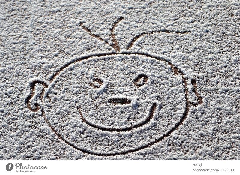 please smile ... Snow Winter Face Painted Head Creativity creatively Snow drawing Smiling Joy Exterior shot Happiness White Gray Funny Cold Seasons