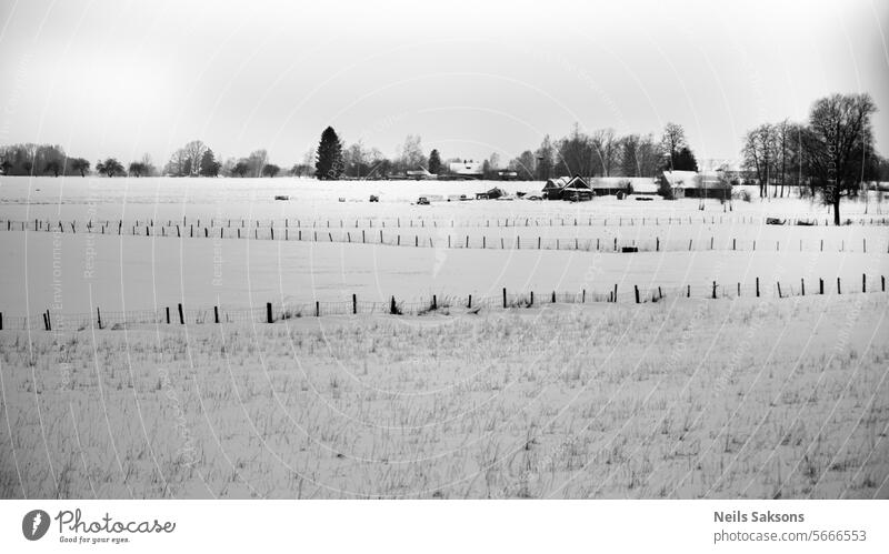 Rows of black wooden fence posts on snow covered agricultural field. Somewhere in Latvia. winter row pole cattle Fence post Snow Cold zig zag Deserted Frost