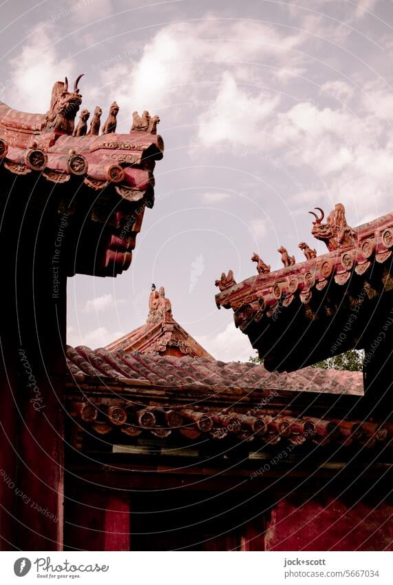 Figures watch over the rooftops Cinese architecture Roof Historic Tourist Attraction China Forbidden city Beijing World heritage Authentic Depth of field