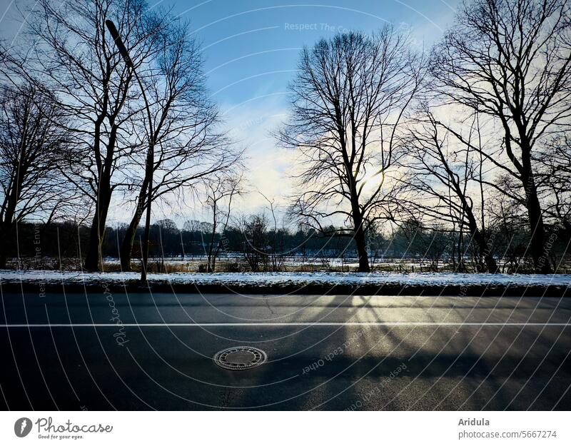 Road with manhole cover in front of winter landscape Street Winter Landscape trees Deserted Car-free Transport Snow Winter mood Back-light Sun Shadow
