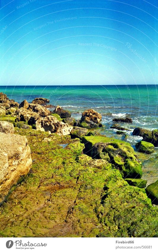 The sea retreats Ocean Green Play of colours Stone