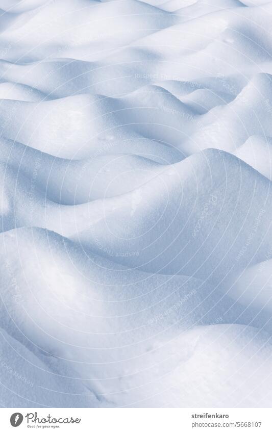 Snow waves Winter White Cold Abstract wavy Waves Frozen Ice Water Frost Freeze Nature Exterior shot Structures and shapes Close-up Ice crystal Pattern Detail
