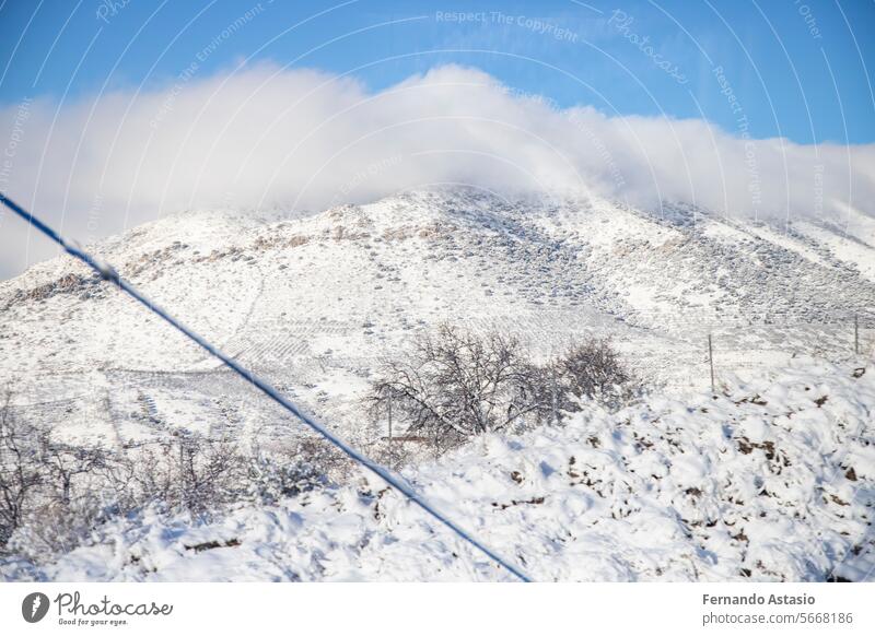 Snow. Winter landscape covered in a white blanket of snow covering mountains and roads. Trees with snow. Clear day. White blanket due to a storm with heavy snowfall. In Spain. January. 2024.