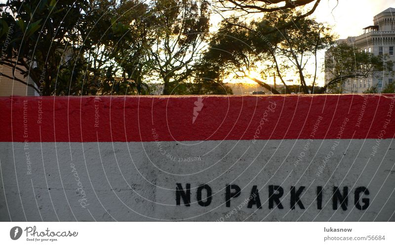 No Parking Clearway Negative Wall (barrier) Plaster Spray Stencil Line Back-light Sunset Dusk San Francisco California Tree no parking Colour Crazy Evening