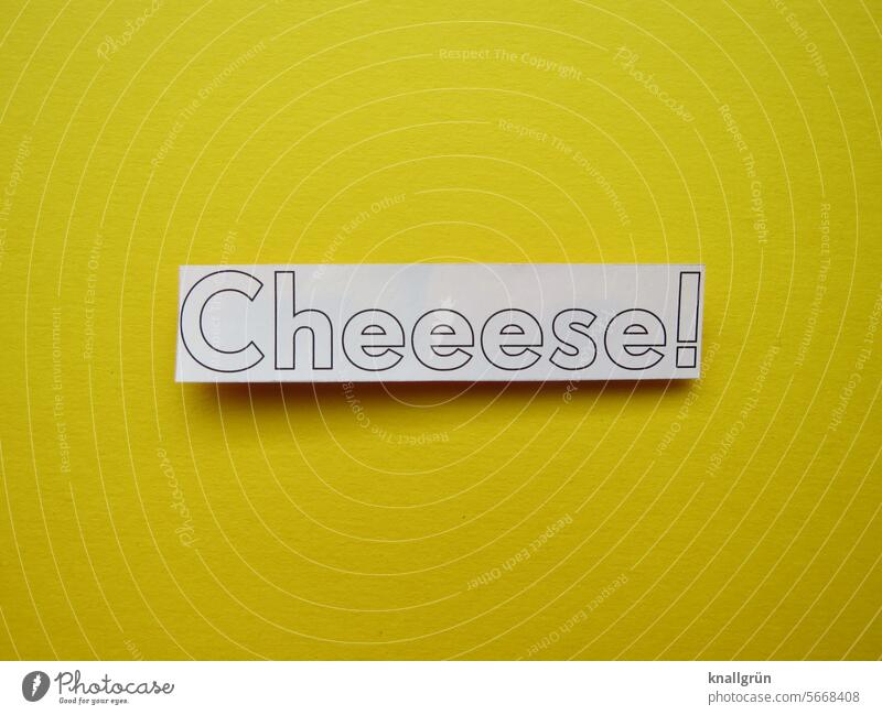 Cheeese! Smiling Photography Text cheese Cheese Food Delicious Meal Nutrition Vegetarian diet Organic produce Colour photo Healthy Eating kind friendly smiling